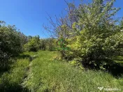 Teren intravilan/934 mp/Lenin Sud 