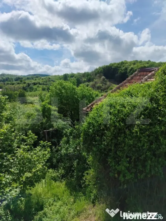 Proprietate cu teren generos 1.500 mp Casă P+1 Voinesti - Gemenea Bratulesti (Dambovita)