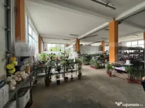 Spatiu comercial de vanzare, 330 mp, Zalau