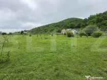 Teren intravilan de vanzare, 14,5 ari, zona Sud-Bistrita, Vi