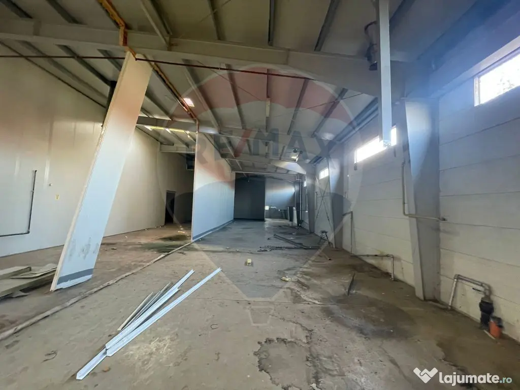 Spațiu industrial Parc Uta 1 - 2700 mp utili
