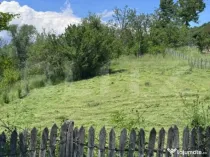 Teren intravilan, deschidere la drum – Bezdead, Dâmboviț