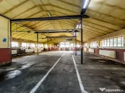 Hala industrială cu teren 10.495 mp – potențial super... 