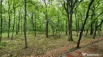 PAULESTI zona lac , zona agrement , teren padure 22500 mp la