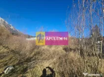 Teren intravilan de vânzare în Bușteni - Zona centrala