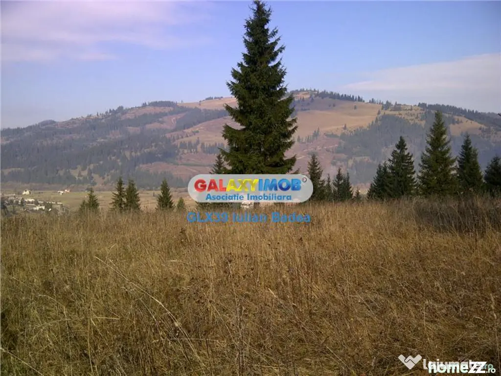 Teren pentru Complex Turistic - 12 730 mp - Vatra Dornei - Vatra Dornei (Suceava)