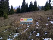 Teren pentru Complex Turistic - 12 730 mp - Vatra Dornei
