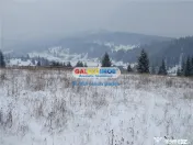 Teren pentru Complex Turistic - 12 730 mp - Vatra Dornei