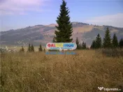 Teren pentru Complex Turistic - 12 730 mp - Vatra Dornei 