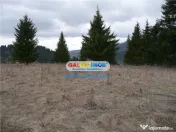 Teren pentru Complex Turistic - 12 730 mp - Vatra Dornei 