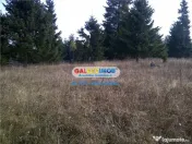 Teren pentru Complex Turistic - 12 730 mp - Vatra Dornei 