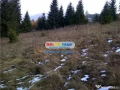 Teren pentru Complex Turistic - 12 730 mp - Vatra Dornei 