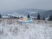 Teren pentru Complex Turistic - 12 730 mp - Vatra Dornei 