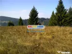 Teren pentru Complex Turistic - 12 730 mp - Vatra Dornei