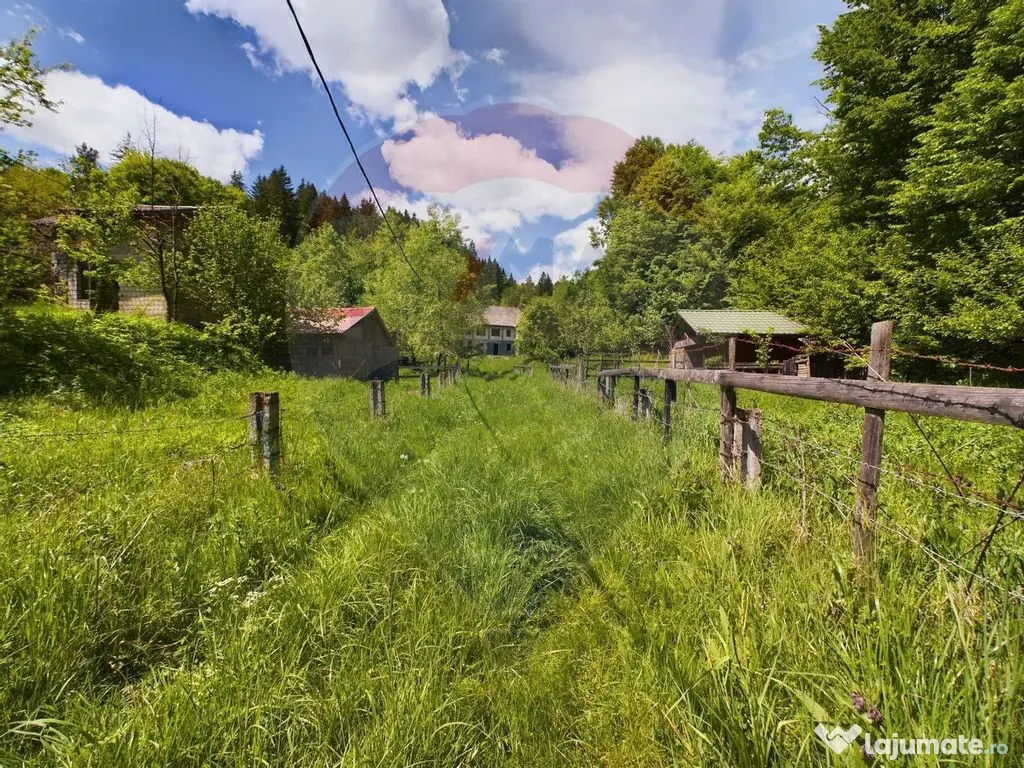 Comision 0%! Proprietate in natura, priveliste superba, S...