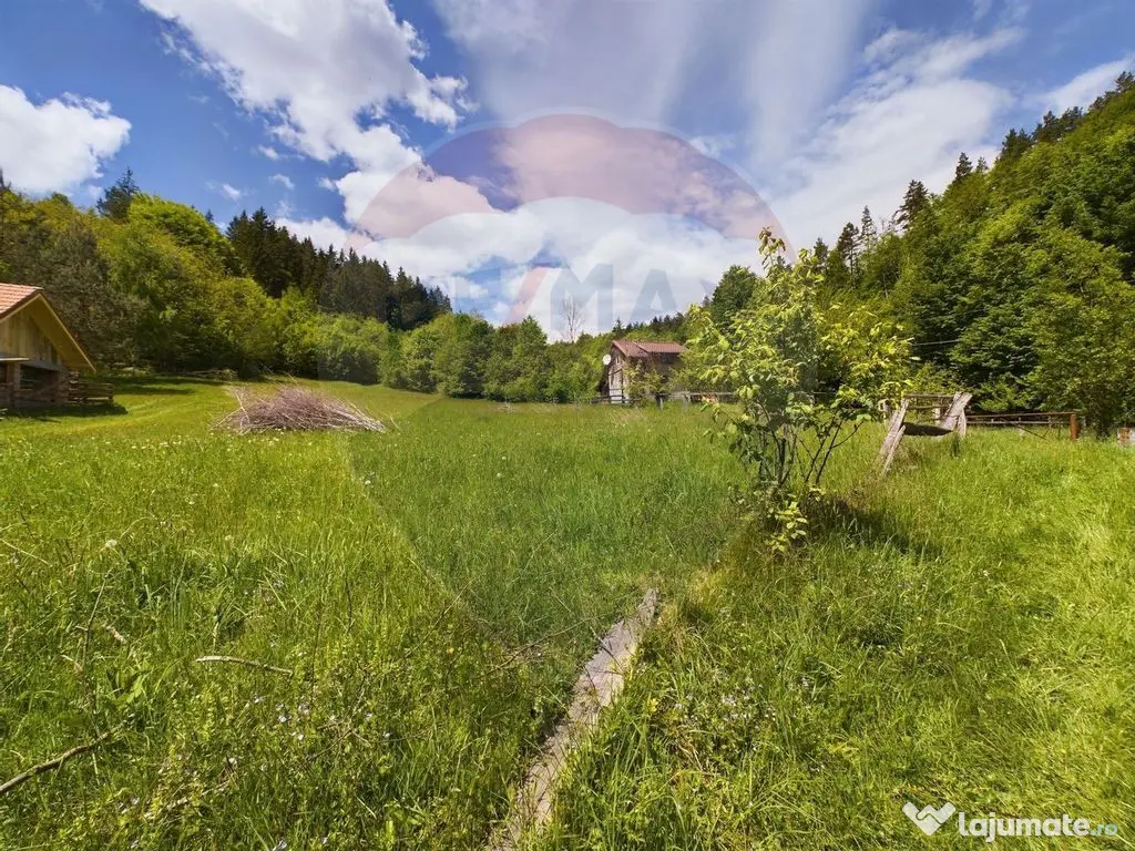 Comision 0%! Proprietate in natura, priveliste superba, S...