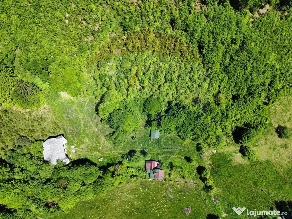 Comision 0%! Proprietate in natura, priveliste superba, S...