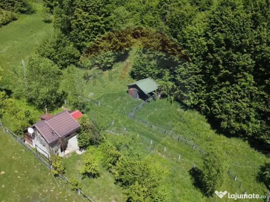 Comision 0%! Proprietate in natura, priveliste superba, S...