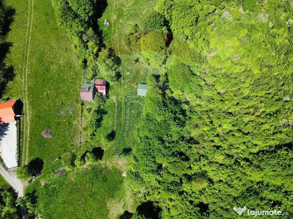 Comision 0%! Proprietate in natura, priveliste superba, S...