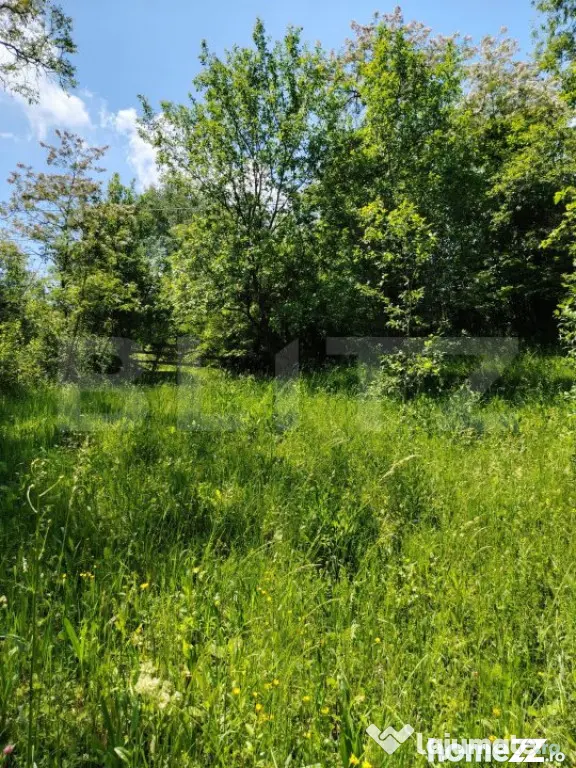 Teren intravilan Pietrosita - Pietrosita (Dambovita)