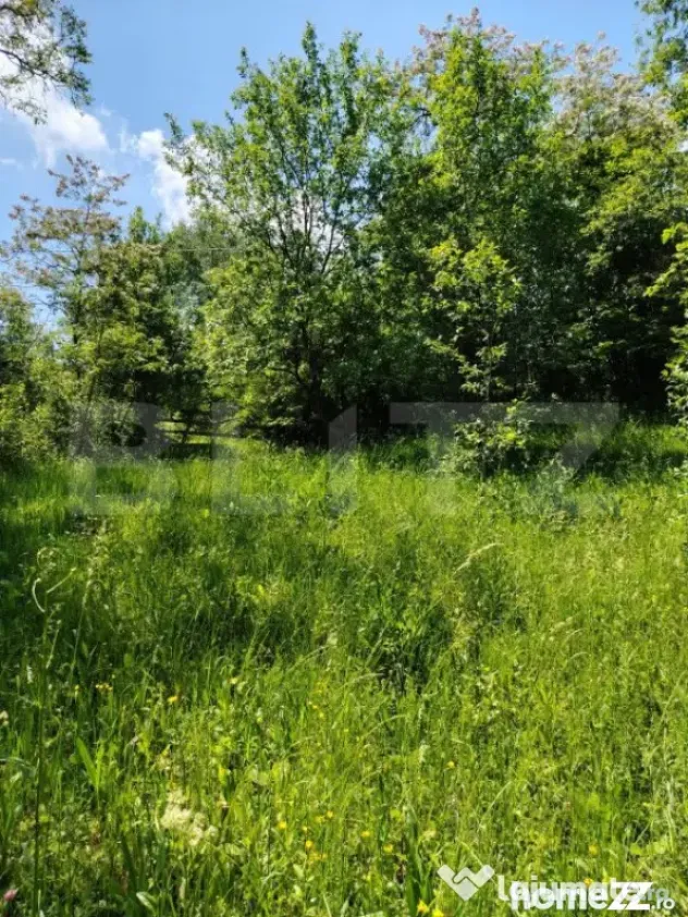 Teren intravilan Pietrosita - Pietrosita (Dambovita)