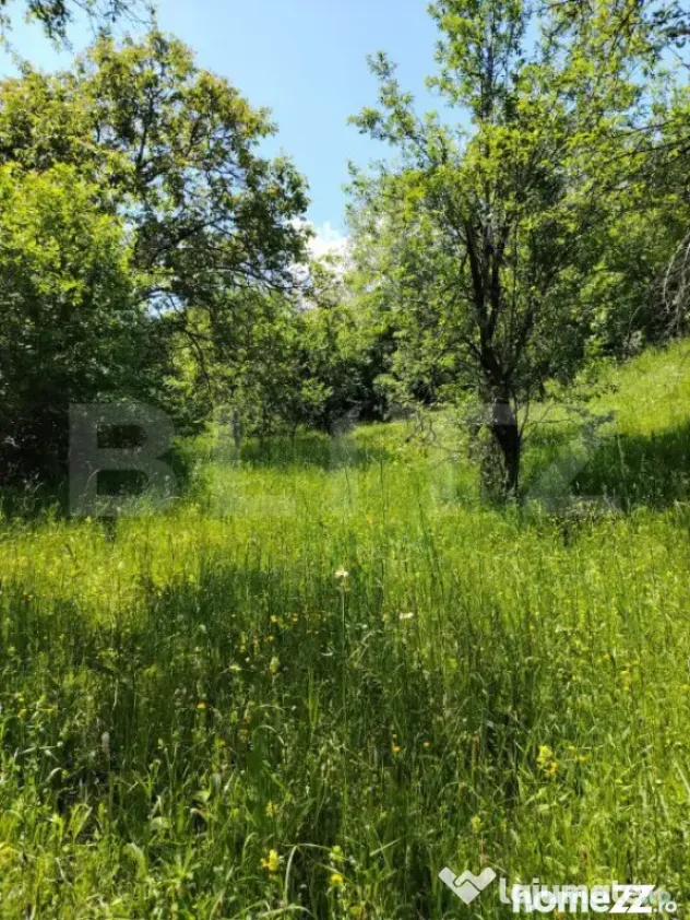 Teren intravilan Pietrosita - Pietrosita (Dambovita)