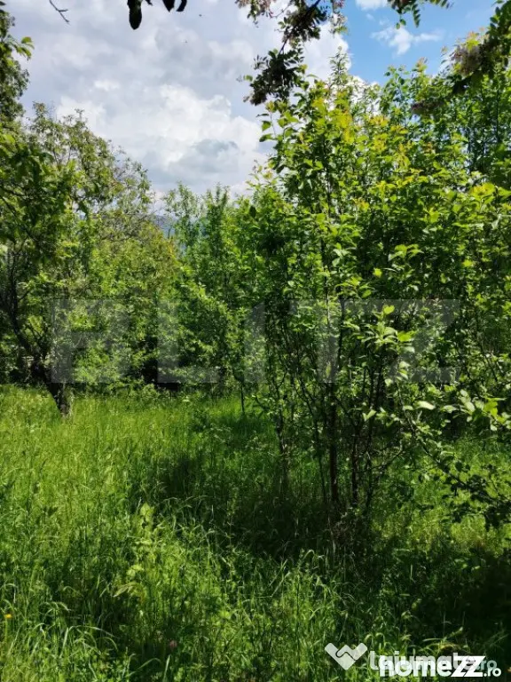 Teren intravilan Pietrosita - Pietrosita (Dambovita)