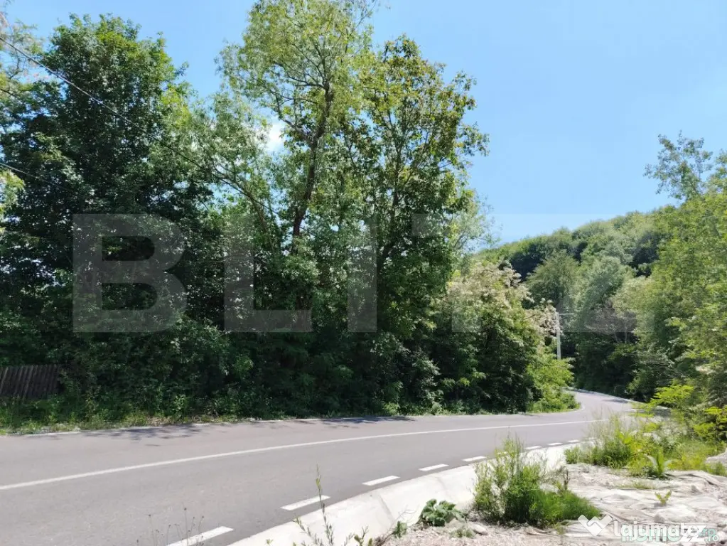 Teren intravilan Pietrosita - Pietrosita (Dambovita)