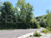 Teren intravilan Pietrosita