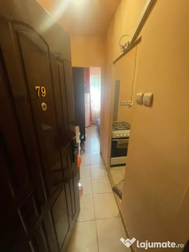 Camera de camin, de vanzare, 13,64 mp, zona Valea Rosie