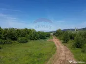 Teren de vanzare-ideal pentru hala sau parcare 