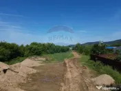 Teren de vanzare-ideal pentru hala sau parcare 