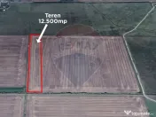 Teren 12.500 mp/Extravilan/ Dumbrava-Prahova 