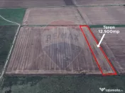 Teren 12.500 mp/Extravilan/ Dumbrava-Prahova 