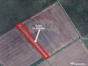 Teren 12.500 mp/Extravilan/ Dumbrava-Prahova 