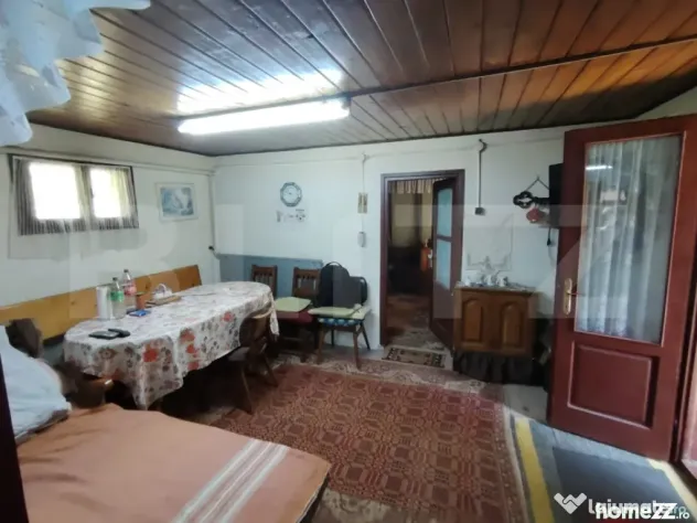 Cabana 5 camere Salard,zona linistita