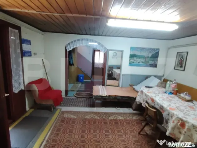 Cabana 5 camere Salard,zona linistita