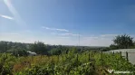 NUFARU- TEREN INTRAVILAN , 1100 MP