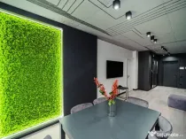 1 camera in zona Dumbravita