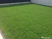 Domnești, Tudor Vladimirescu, vila, P+1E, complet mobilată 