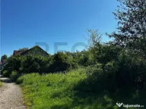 Reco Teren intravilan Beius