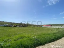 RECO Teren intravilan pe Str Beldiceanu 984mp