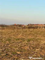 RECO Teren intravilan in Saldabagiu De Munte 2000mp