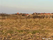 RECO Teren intravilan in Saldabagiu De Munte 2000mp