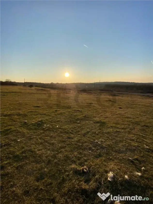 RECO Teren intravilan in Saldabagiu De Munte 2000mp