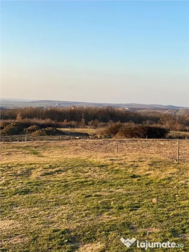 RECO Teren intravilan in Saldabagiu De Munte 2000mp