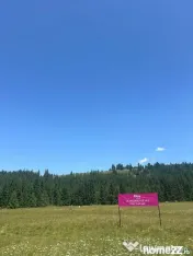 OPORTUNITATE ÎN INIMA NATURII-Teren intravilan, COMANDĂ...