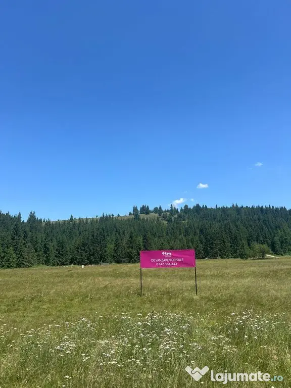 OPORTUNITATE ÎN INIMA NATURII-Teren intravilan, COMANDĂ...