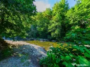 CASA DEOSEBITA DE VANZARE INTRERAURI, COAS 