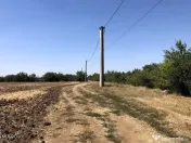 Moara Vlasiei - langa Padurea Biglaru, 11.884 mp, deschid... 